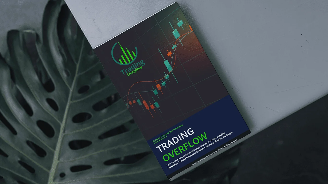 Trading Overflow eBook — Design Graphique — Sickious